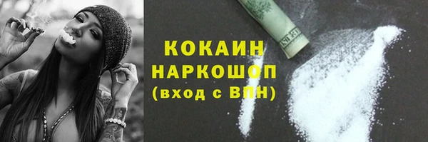 шишки Алзамай