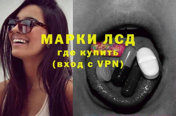 шишки Алзамай