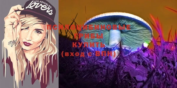 винт Алексеевка