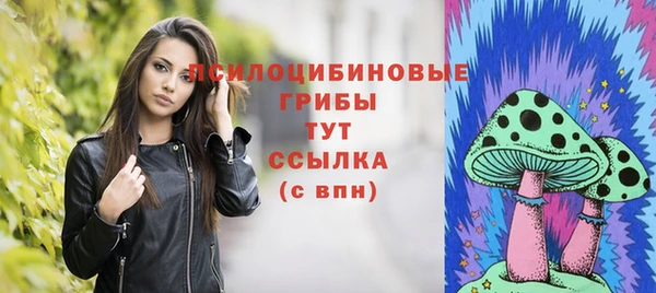 шишки Алзамай