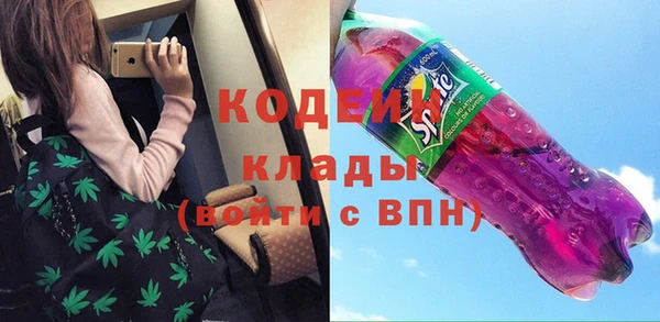 шишки Алзамай