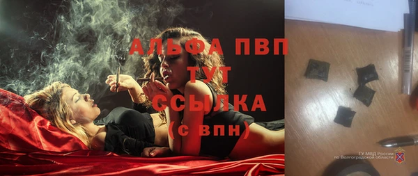 шишки Алзамай