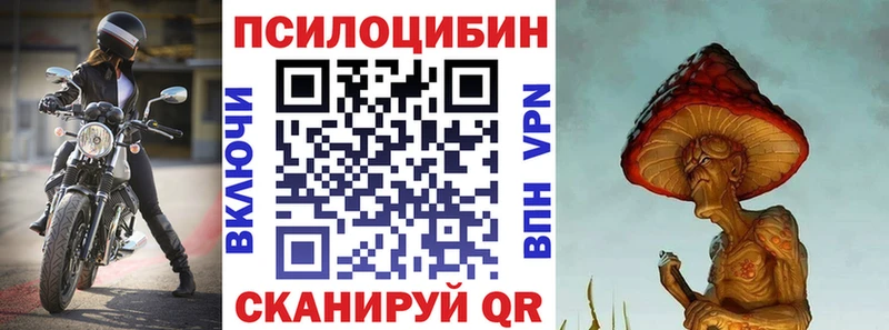 Галлюциногенные грибы прущие грибы  Камешково 
